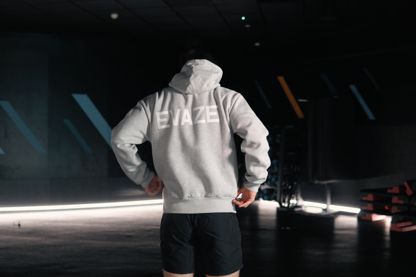 Grey Evaze Heavyweight Unisex Hoodie.